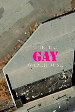 The Big Gay Doc (2017) The Big Gay Doc (2017)