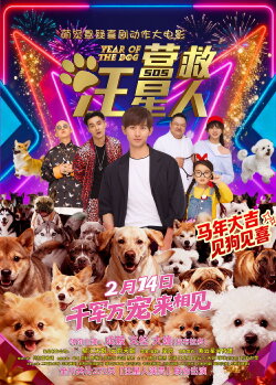 The Big Rescue (2018)