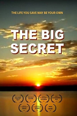 The Big Secret (2016) The Big Secret (2016)