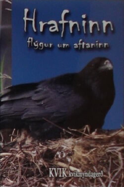 The Bird of Wisdom: The Raven (2008) The Bird of Wisdom: The Raven (2008)