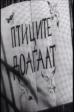 The Birds Are Coming (1956) The Birds Are Coming (1956)