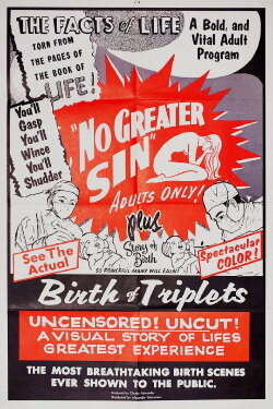 The Birth of Triplets (1950) The Birth of Triplets (1950)