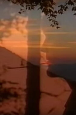 The Bitter Berry: The Life and Work of Byron Herbert Reece (1988) The Bitter Berry: The Life and Work of Byron Herbert Reece (1988)