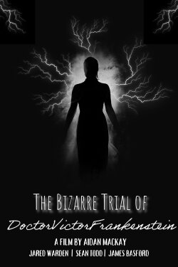 The Bizarre Trial of Doctor victor Frankenstien (2025) The Bizarre Trial of Doctor victor Frankenstien (2025)