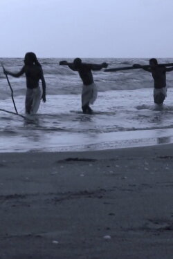The Black Creoles: Memories and Identities (2011) The Black Creoles: Memories and Identities (2011)