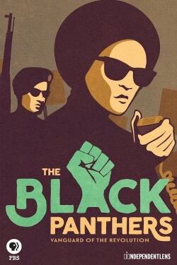 The Black Panthers: Vanguard of the Revolution (2015) The Black Panthers: Vanguard of the Revolution (2015)