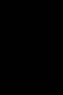 The Black Screen Film (2024) The Black Screen Film (2024)