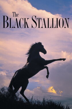 The Black Stallion (1979) The Black Stallion (1979)