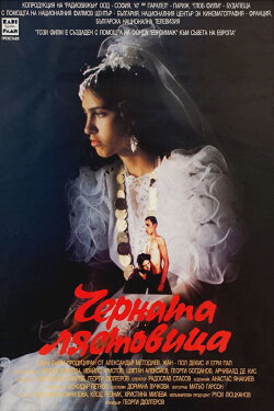 The Black Swallow (1997)