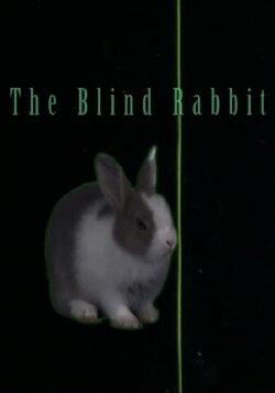 The Blind Rabbit (2021)