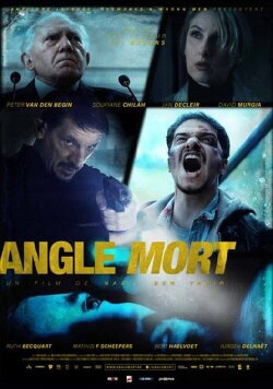 The Blind Spot (2017)