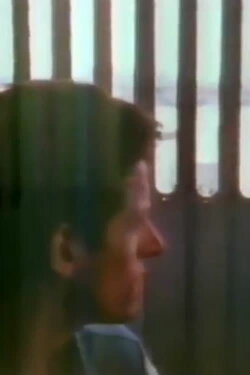 The Blue Nile: Flags and Fences (1990) The Blue Nile: Flags and Fences (1990)