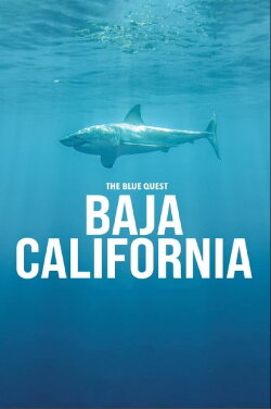 The Blue Quest Baja California (2020) The Blue Quest Baja California (2020)