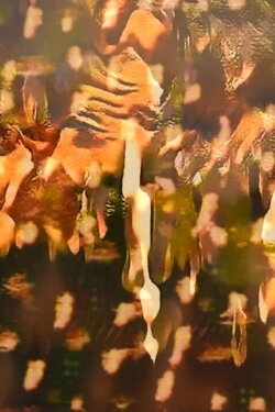 The Body is a Gesture (2021)