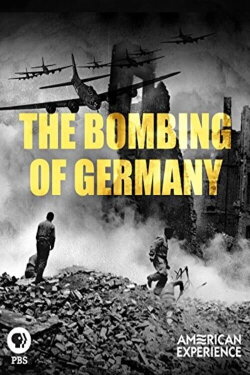 The Bombing of Germany (2010) The Bombing of Germany (2010)