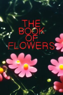 The Book of Flowers (2023) The Book of Flowers (2023)