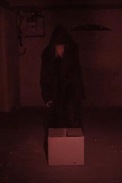 The Box Cult (2024) The Box Cult (2024)