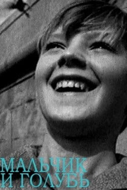 The Boy and the Pigeon (1961) The Boy and the Pigeon (1961)