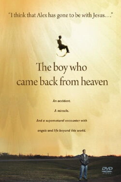 The Boy Who Came Back From Heaven (2010)