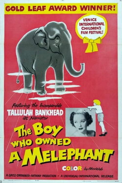 The Boy Who Owned a Melephant (1959) The Boy Who Owned a Melephant (1959)