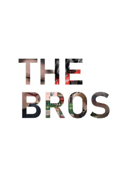 the bros (2020)