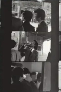 The Brownian Motion of Eyesight (1982) The Brownian Motion of Eyesight (1982)