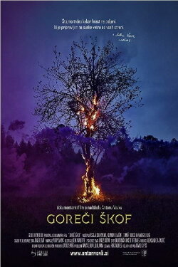 The Burning Bishop (2017)