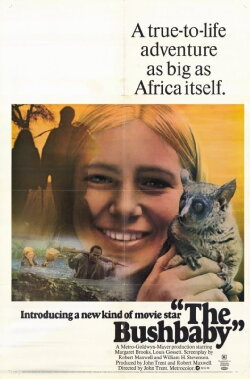 The Bushbaby (1969) The Bushbaby (1969)
