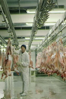 The Butcher's Waltz (2014) The Butcher's Waltz (2014)