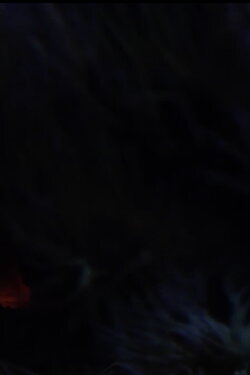 The Butterfly (2020)