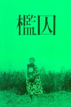 The Cage (1964)