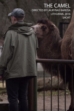 The Camel (2016) The Camel (2016)