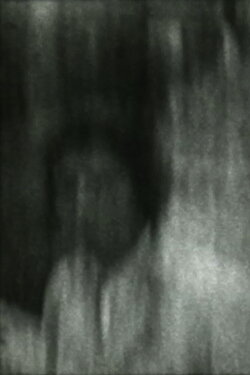 The Carnivore (2016)