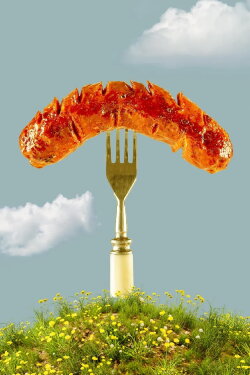 The Carnivore's Dilemma (2018) The Carnivore's Dilemma (2018)