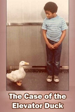 The Case of the Elevator Duck (1974) The Case of the Elevator Duck (1974)