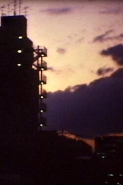 The Cat Night (1992) The Cat Night (1992)
