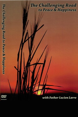 the challenging road to peace and happiness (2009) the challenging road to peace and happiness (2009)