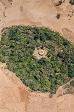 The Church Forests of Ethiopia (2020) The Church Forests of Ethiopia (2020)