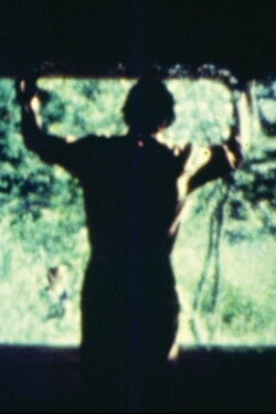 The Circular Scene (1982)