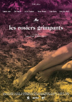 The Climbing Roses (2016)