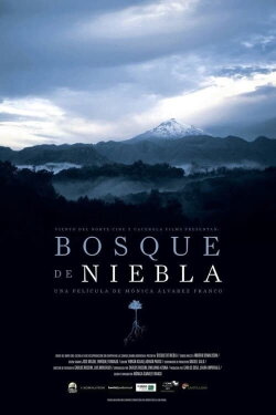 The Cloud Forest (2017)
