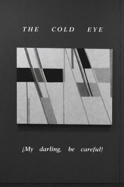 The Cold Eye (My Darling, Be Careful) (1980) The Cold Eye (My Darling, Be Careful) (1980)