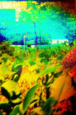 The Colors of Boulder in the Summer (2015) The Colors of Boulder in the Summer (2015)