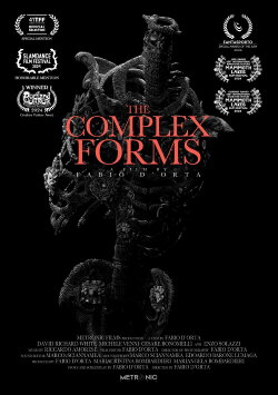 The Complex Forms (2024)