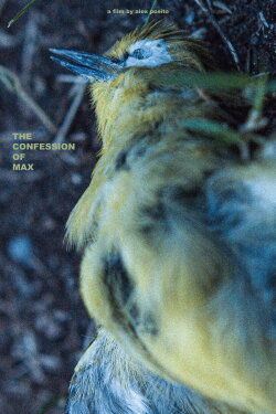 The Confession of Max (2020) The Confession of Max (2020)