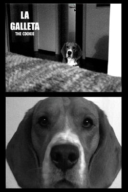 The Cookie (2003)