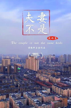 The Couple Is Not The Same Birds (2019) The Couple Is Not The Same Birds (2019)