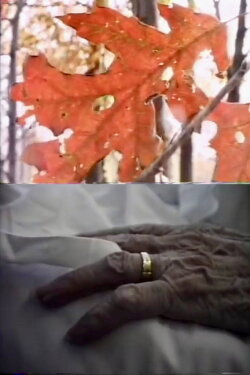 The Creeping Crimson (1987) The Creeping Crimson (1987)
