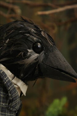 The Crow Who Wore A Suit And Worked In An Office (2011) The Crow Who Wore A Suit And Worked In An Office (2011)