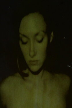The Cypress Tree (2003)